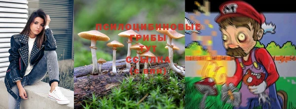наркотики Бородино