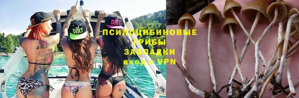 наркотики Бородино