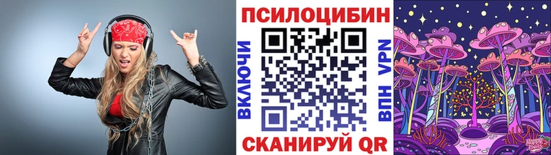 Галлюциногенные грибы Psilocybe  закладки  Гремячинск 